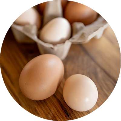 自社で育てたこだわりの卵